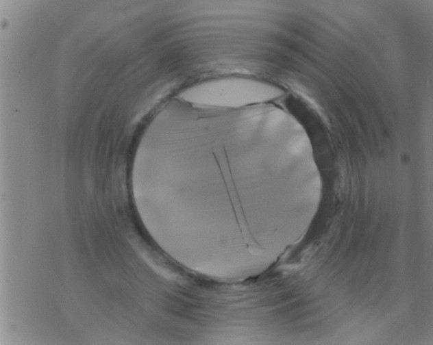 X0000075900398200610151821