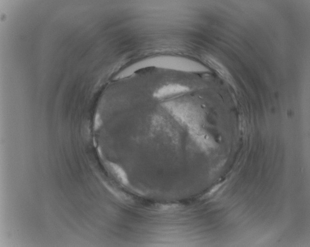 X0000075900401200610151821