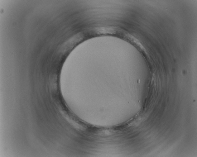 X0000075900402200610151821