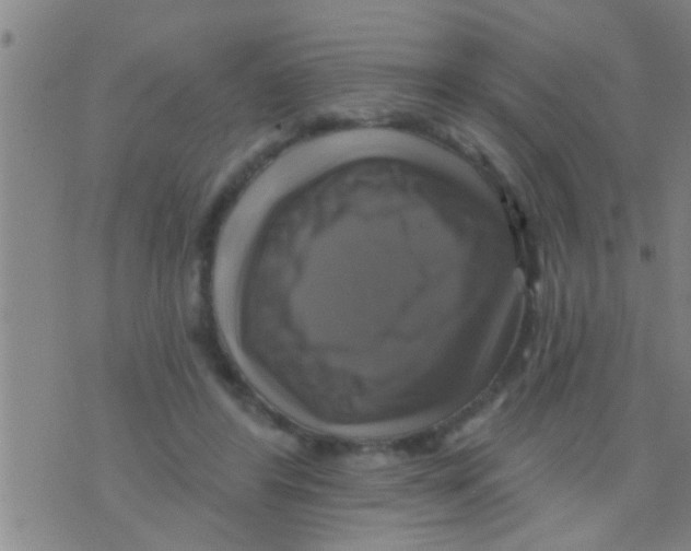 X0000075900404200610151821