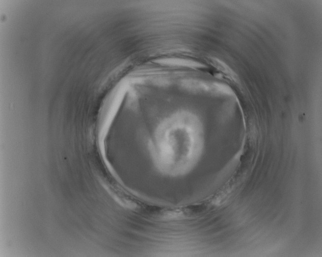 X0000075900405200610151821