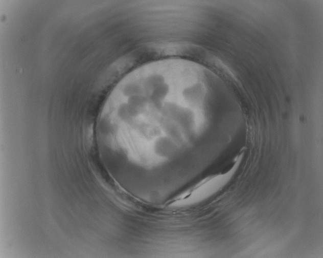 X0000075900406200610151821