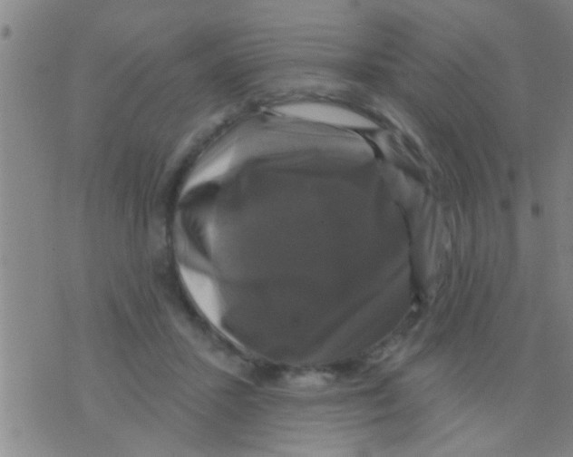 X0000075900407200610151821