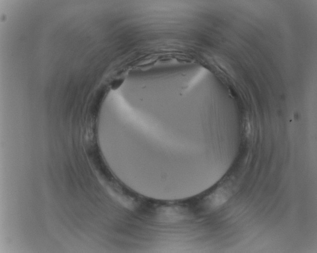 X0000075900408200610151821