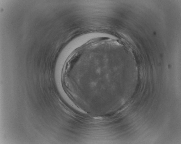 X0000075900409200610151821