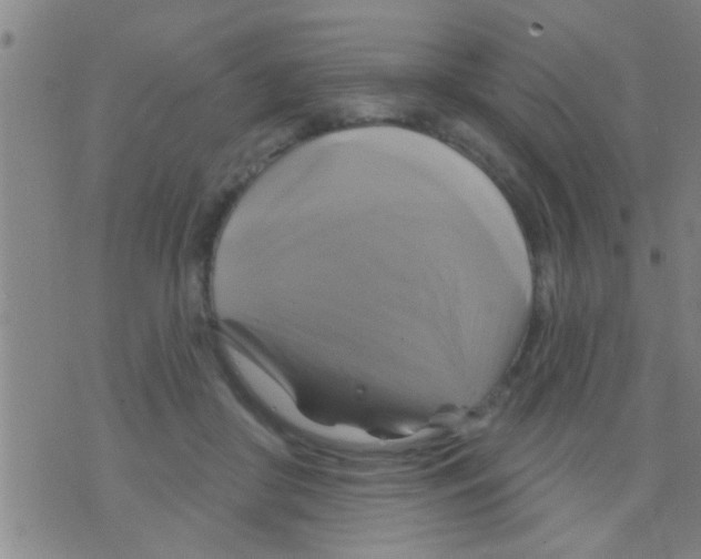 X0000075900410200610151821