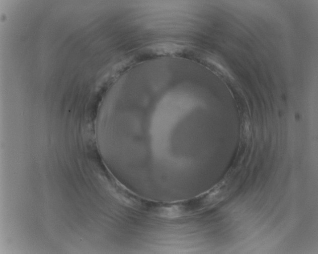 X0000075900411200610151821