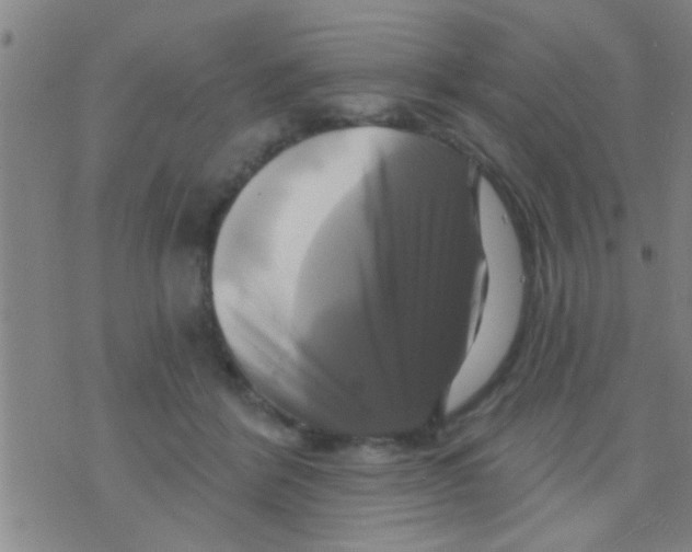 X0000075900412200610151821