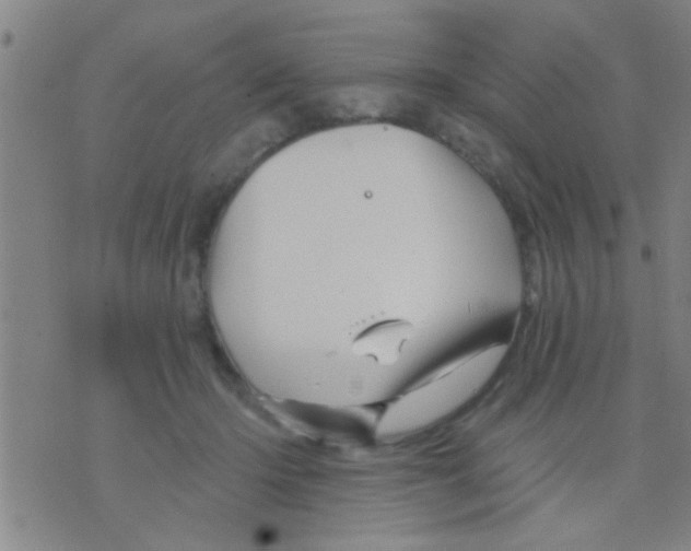 X0000075900414200610151821