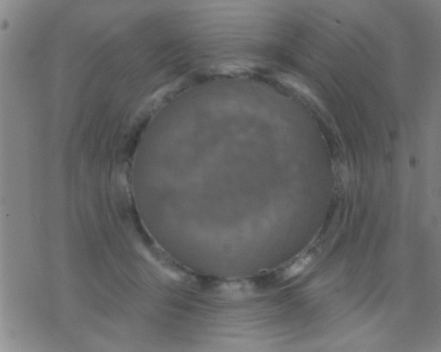 X0000075900415200610151821