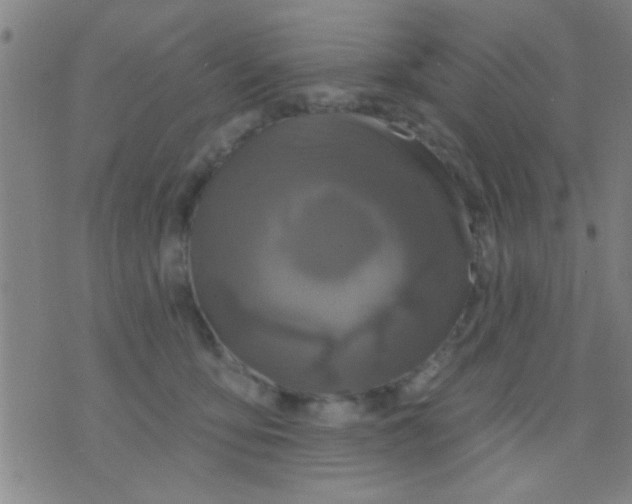 X0000075900419200610151821