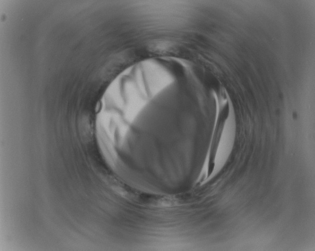 X0000075900420200610151821