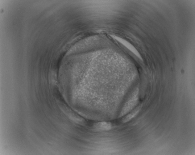 X0000075900421200610151821