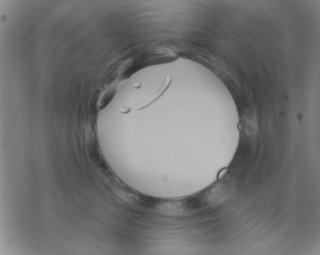 X0000075900422200610151821