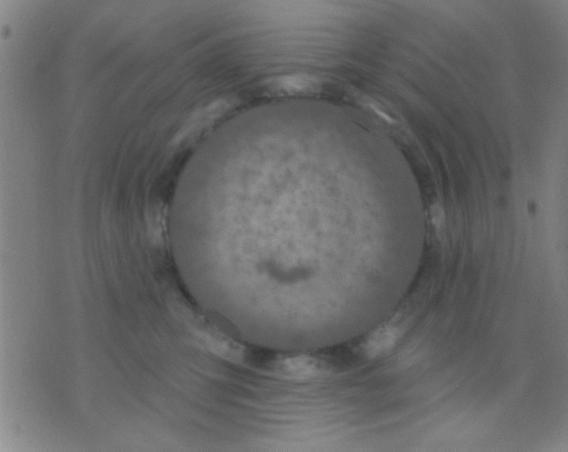 X0000075900423200610151821