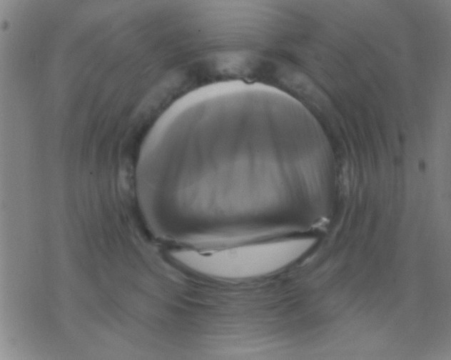 X0000075900424200610151821