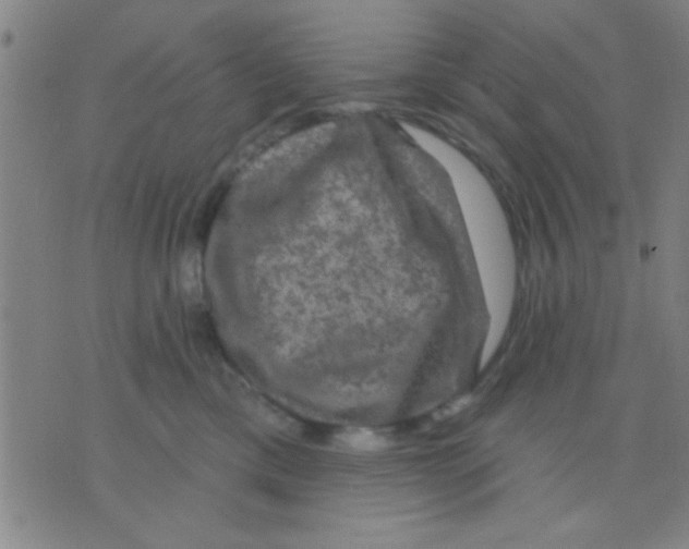 X0000075900425200610151821