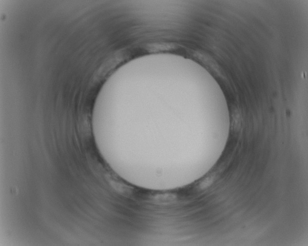 X0000075900426200610151821