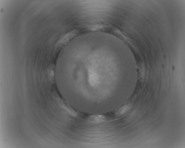 X0000075900427200610151821