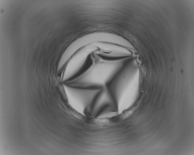 X0000075900429200610151821