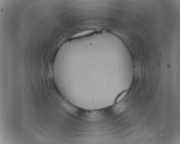 X0000075900430200610151821