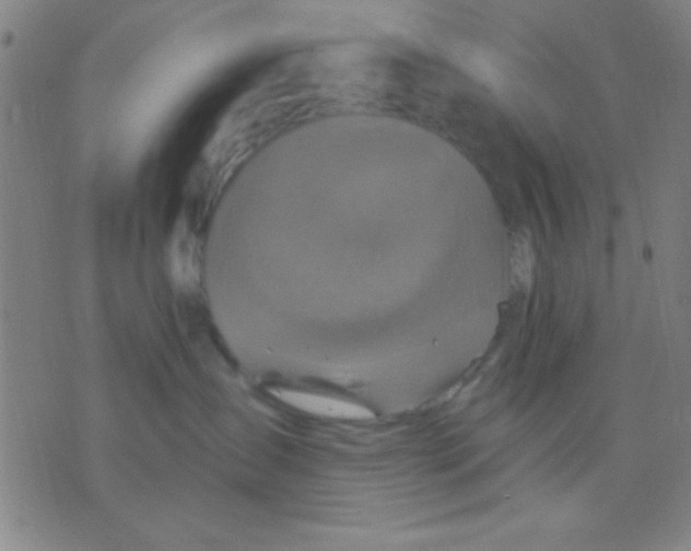 X0000075900431200610151821