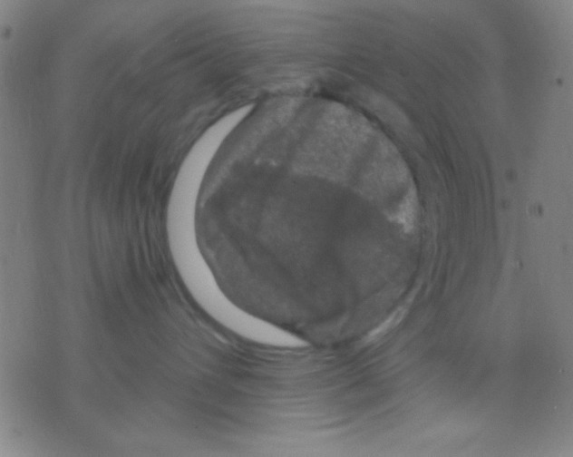 X0000075900432200610151821