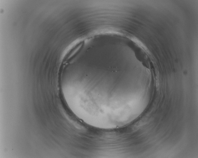 X0000075900438200610151820