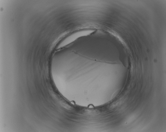 X0000075900442200610151820