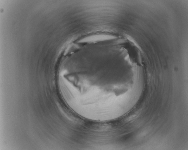 X0000075900443200610151820