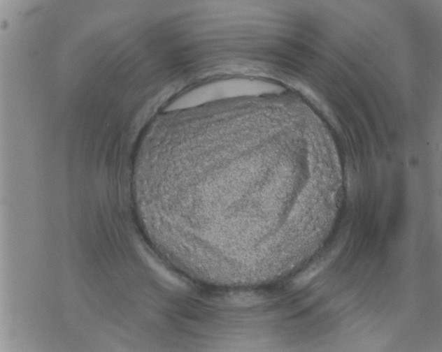 X0000075900445200610151820