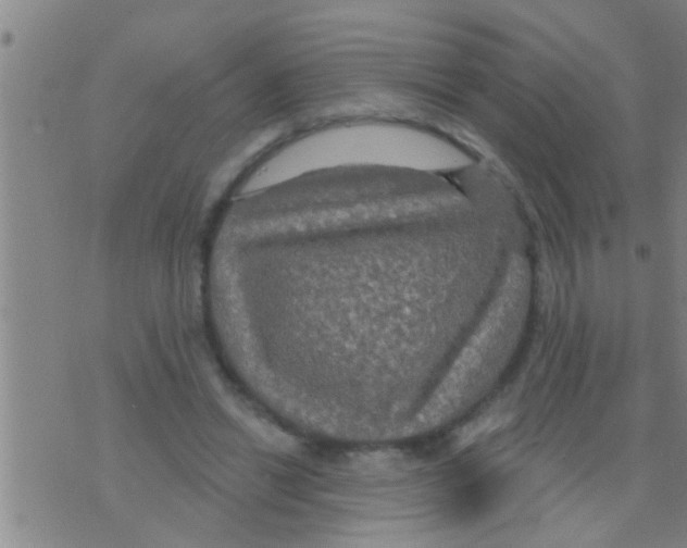 X0000075900446200610151820