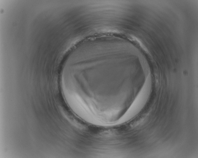 X0000075900447200610151820