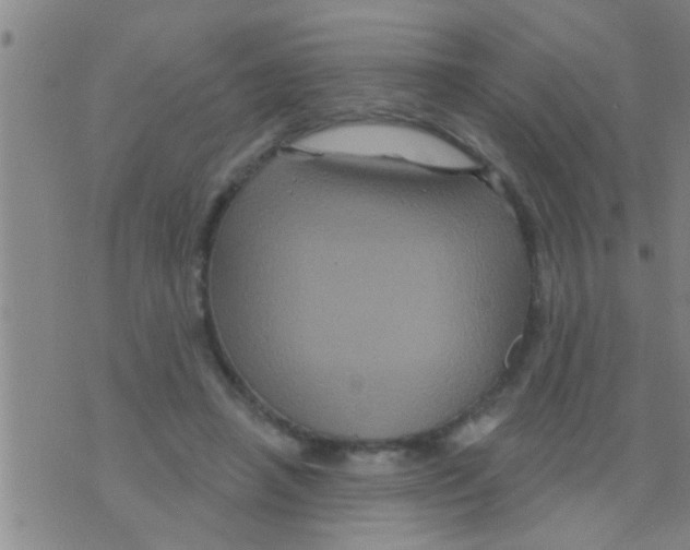 X0000075900450200610151820