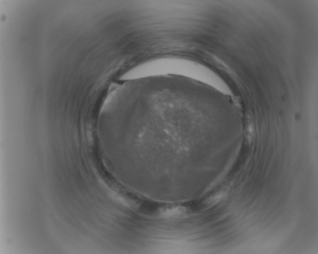 X0000075900452200610151820