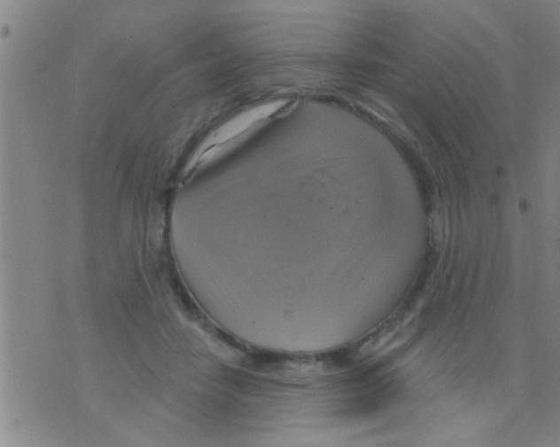 X0000075900458200610151820