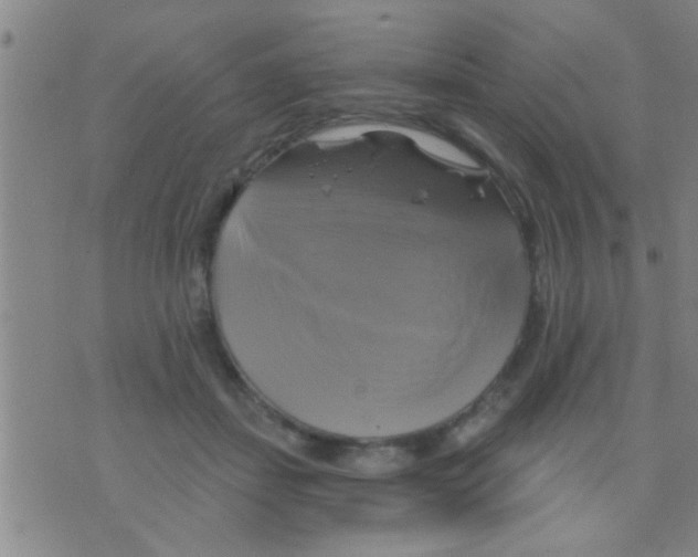 X0000075900459200610151820