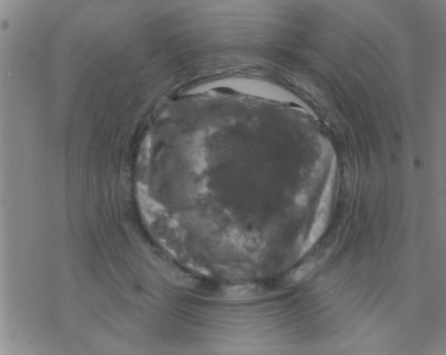 X0000075900461200610151820