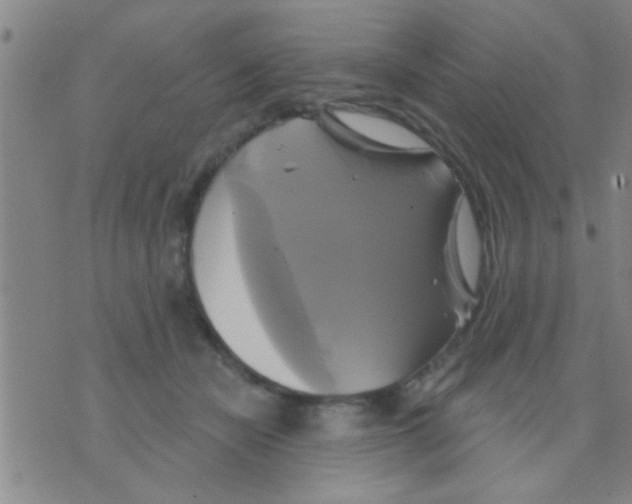 X0000075900462200610151820