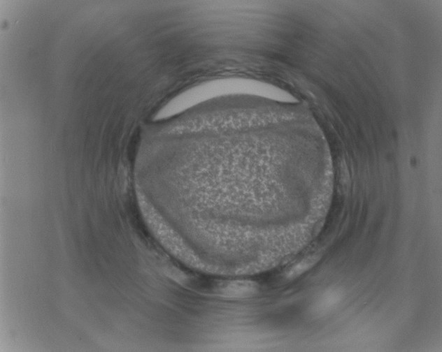 X0000075900463200610151820