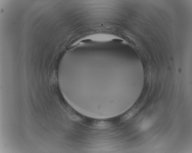 X0000075900467200610151820