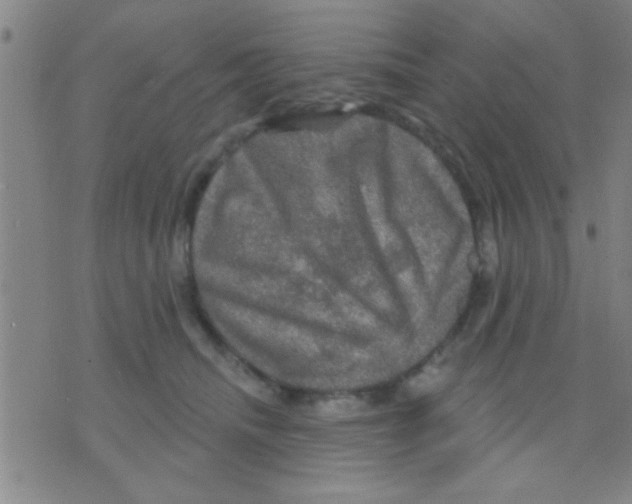 X0000075900468200610151820