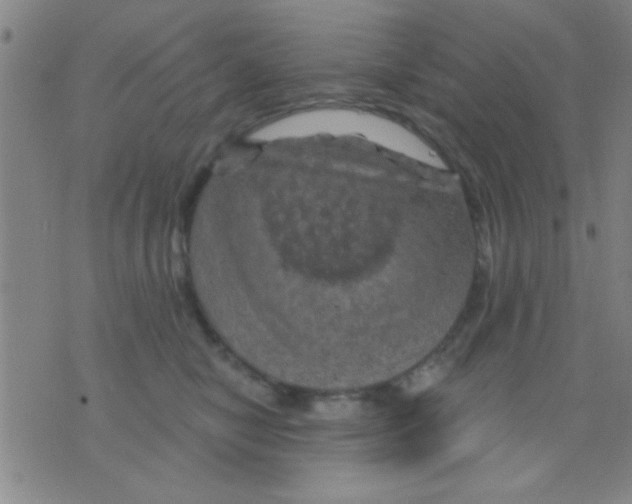 X0000075900470200610151820