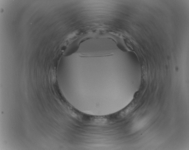 X0000075900471200610151820