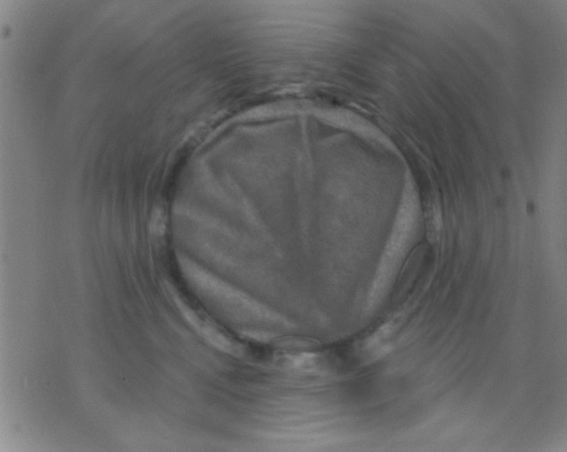 X0000075900472200610151821