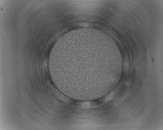 X0000075900473200610151821