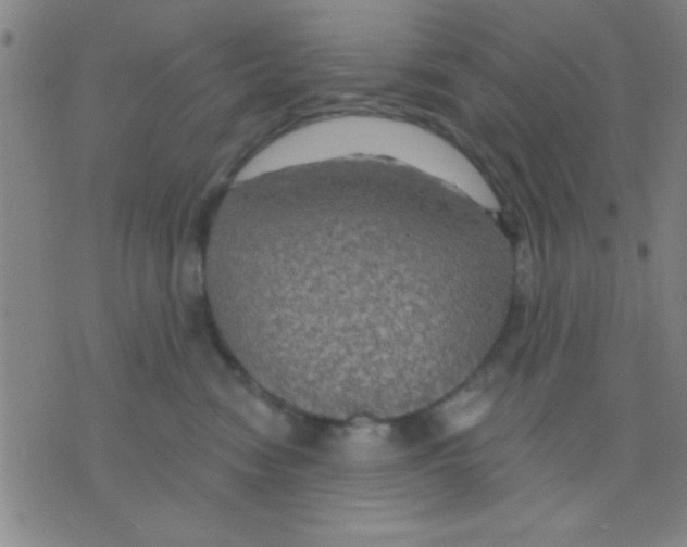 X0000075900474200610151821