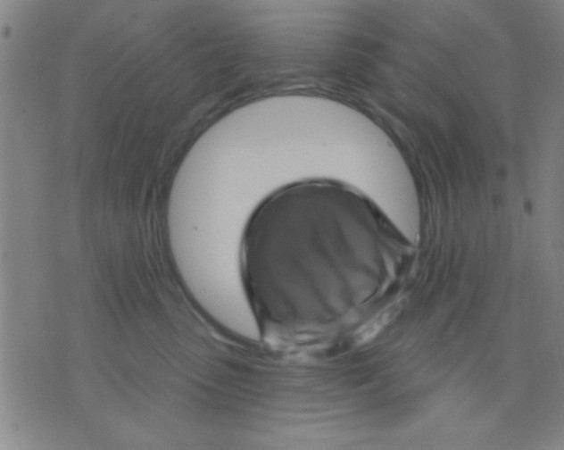 X0000075900475200610151821