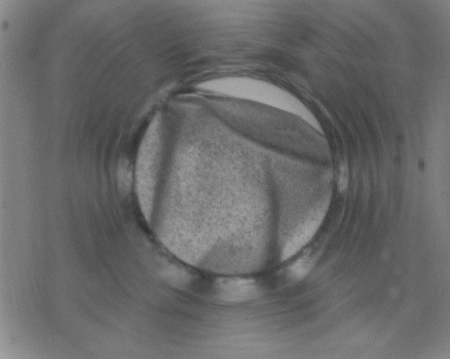 X0000075900476200610151821