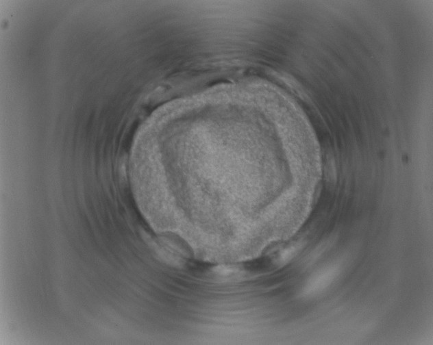 X0000075900477200610151821